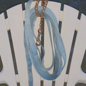 Baby blue 30 ft lunge line with stud chain